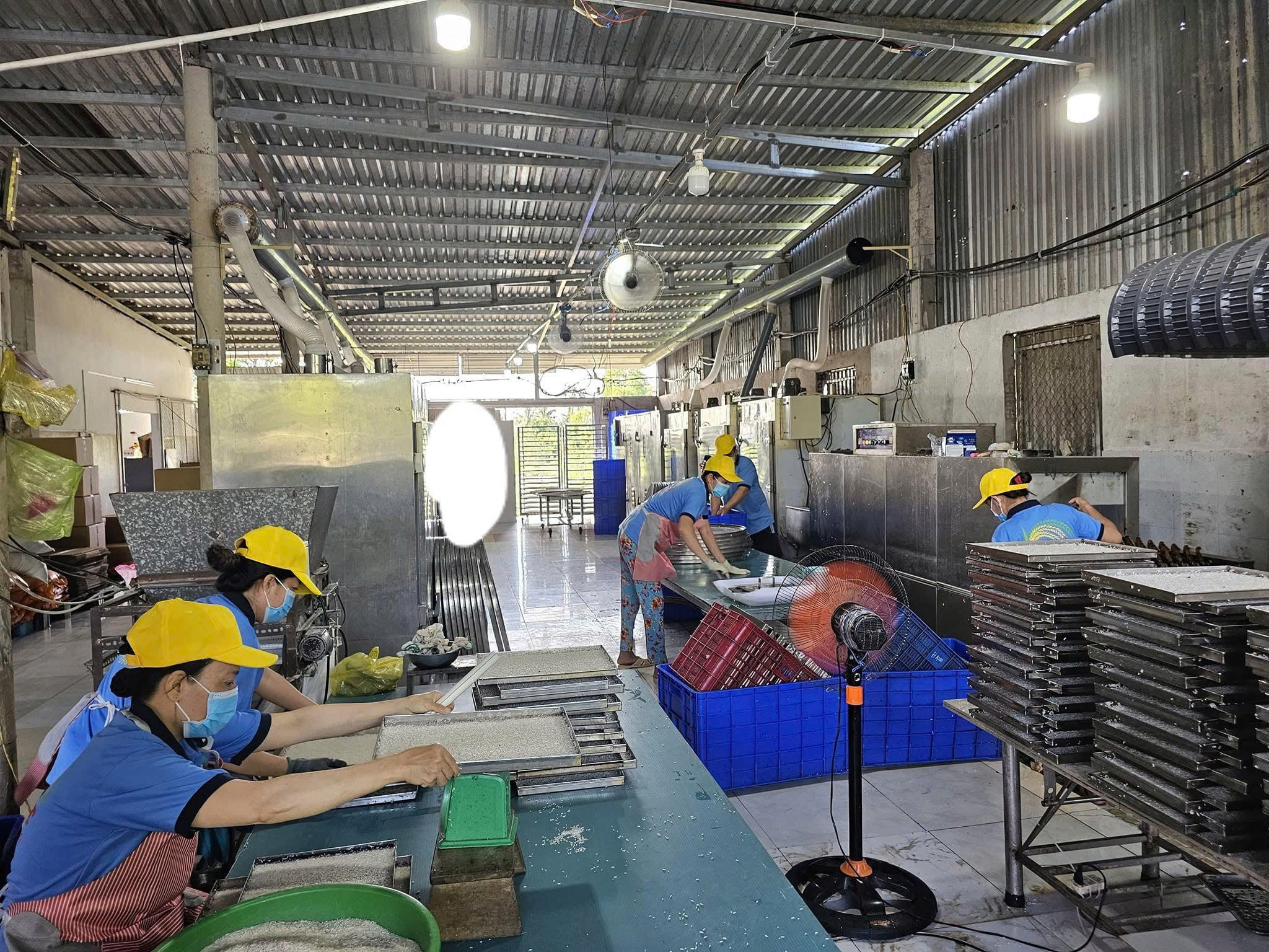 Khu vực sản xuất