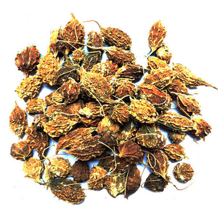 Khổ qua rừng sấy 3