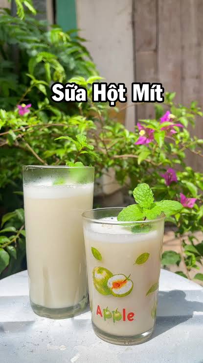 Sữa bột hạt mít 2